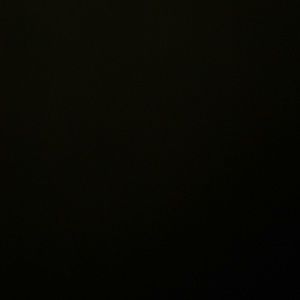 Meet your Posher, Bryan